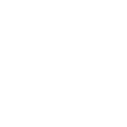 in